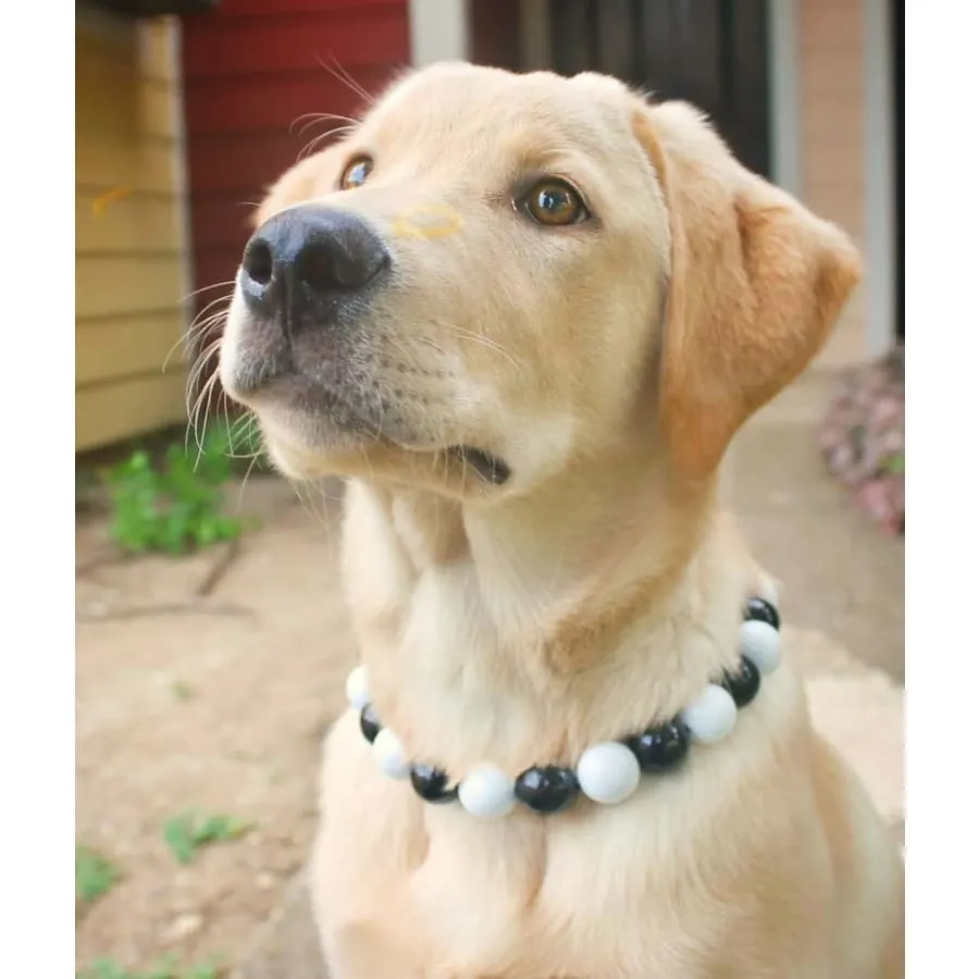 Black and White Bead Collar