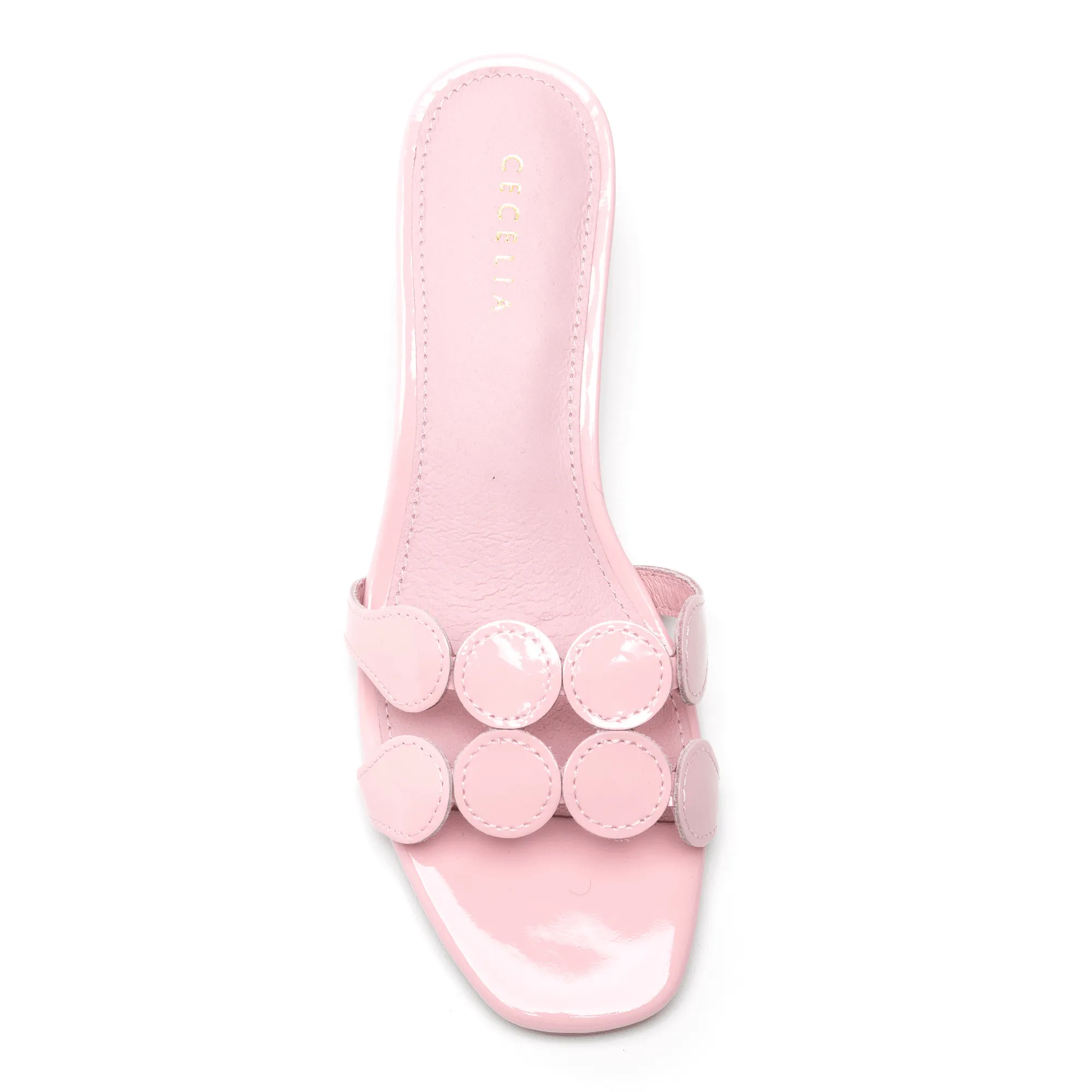 BUNNY