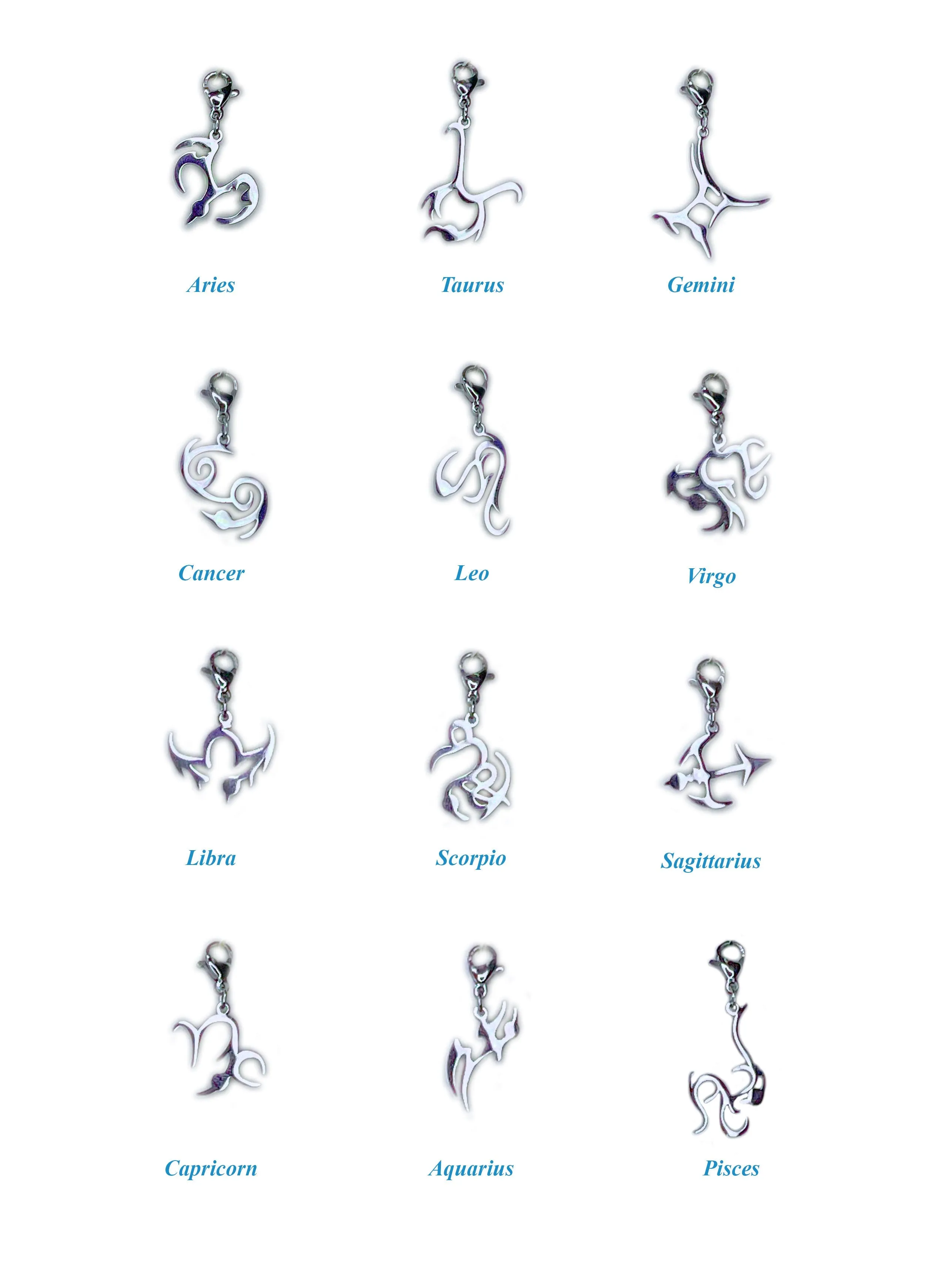 Capricorn Charm Bracelet
