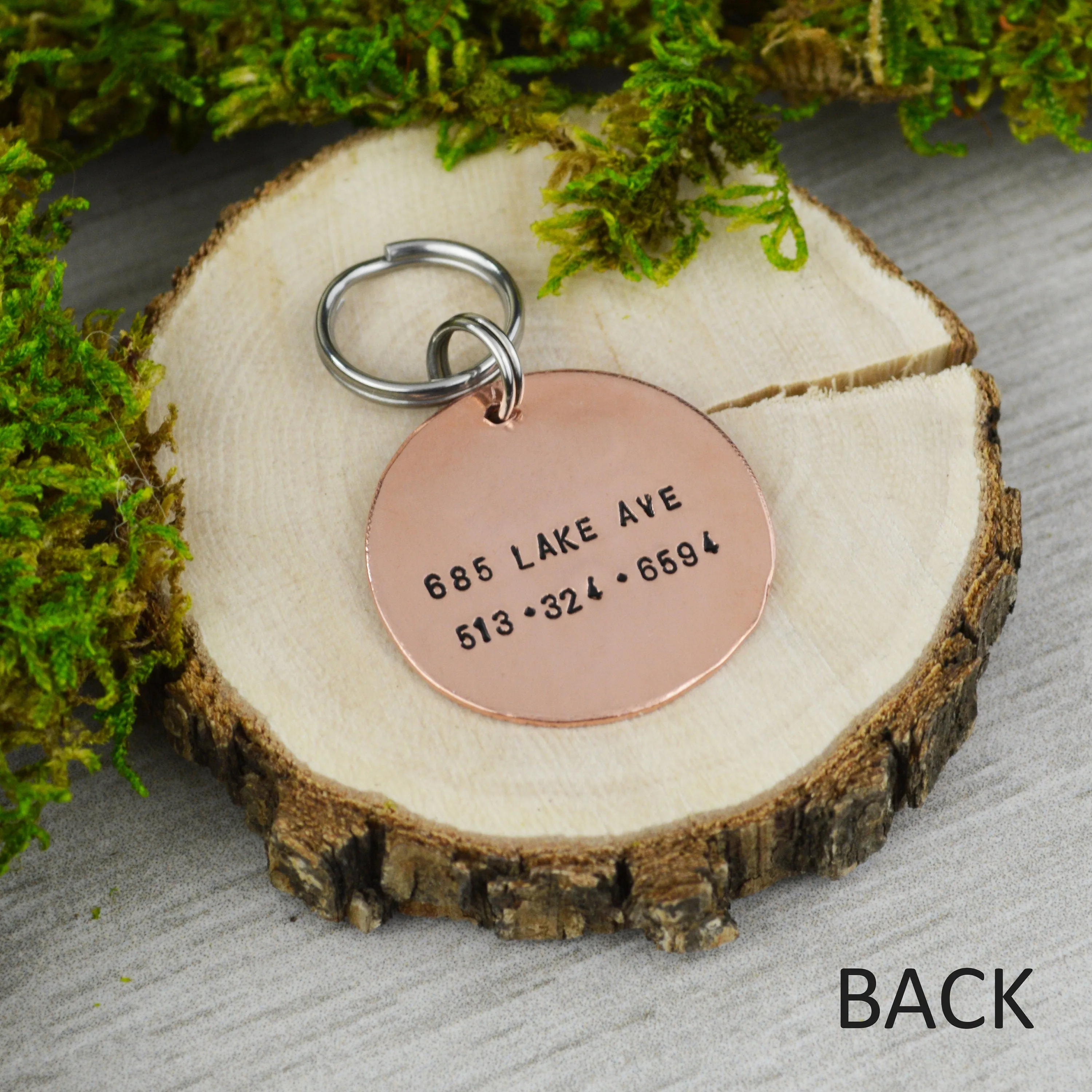 Catch a Wave Pet ID Tag