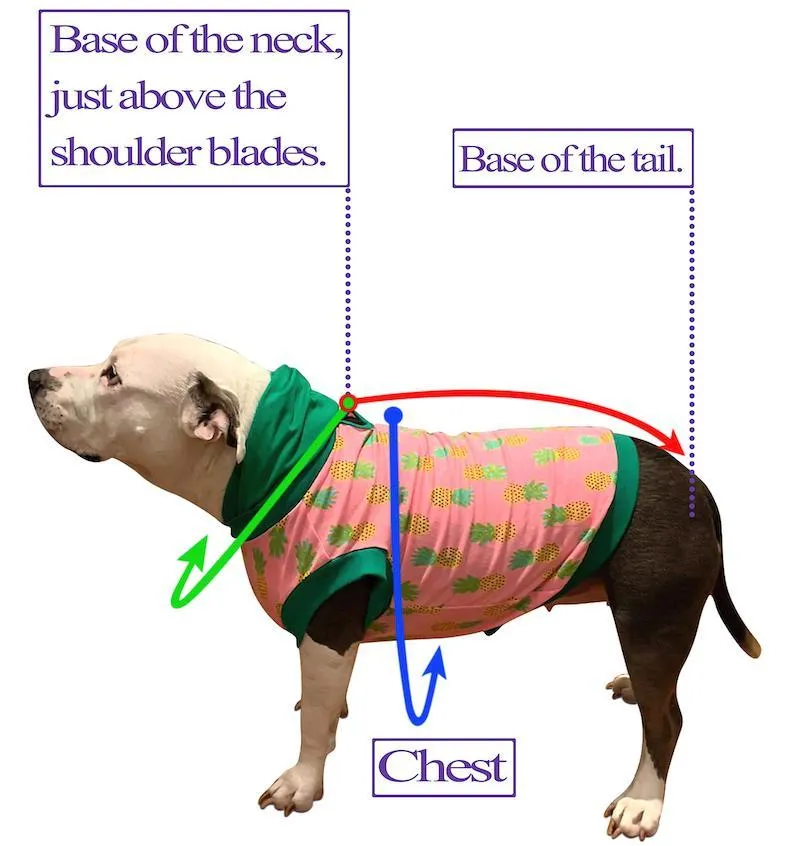 Chilling With My Peeps - PAWjama with Black Neck & Trim/Sleeves