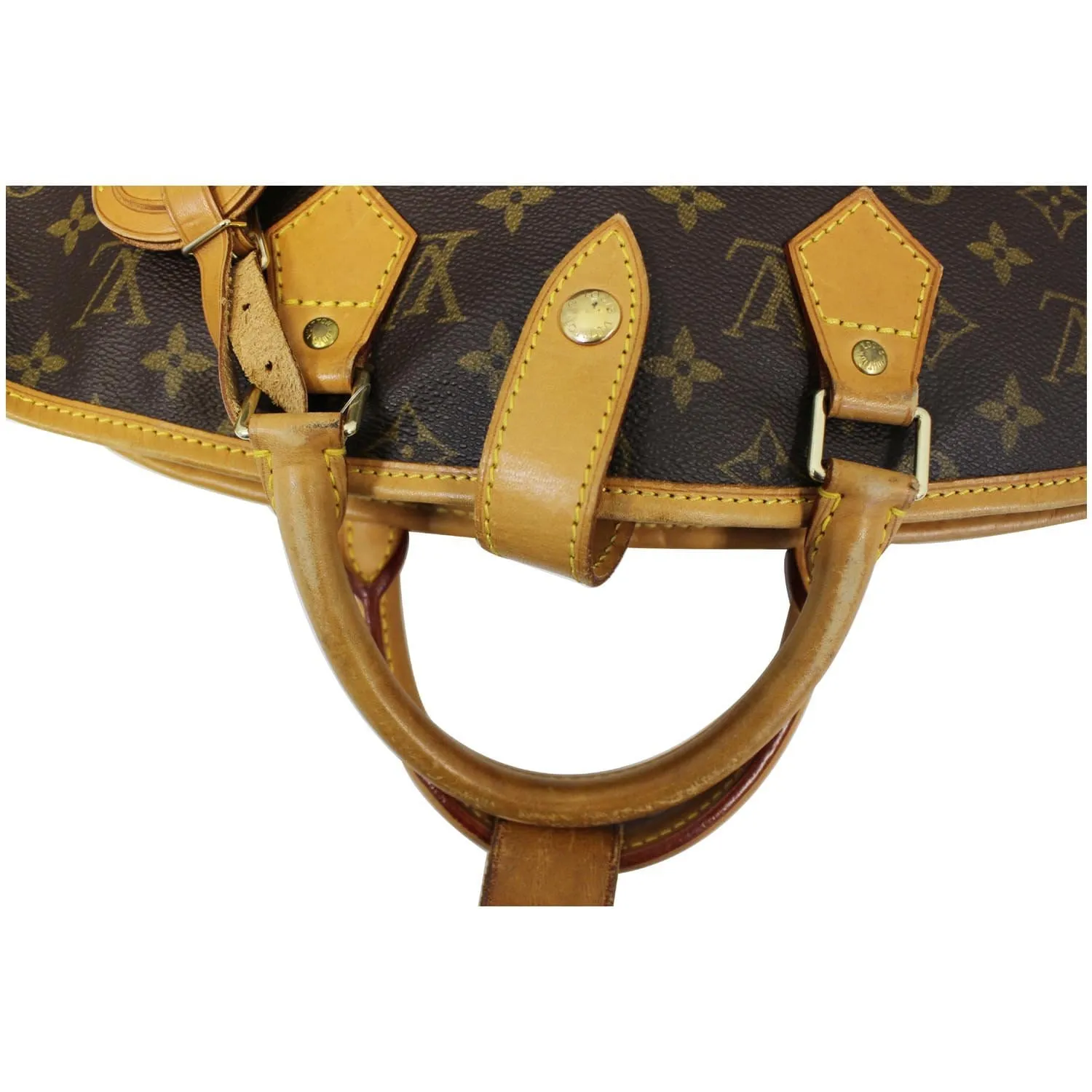 LOUIS VUITTON Monogram Canvas Brown Garment Cover