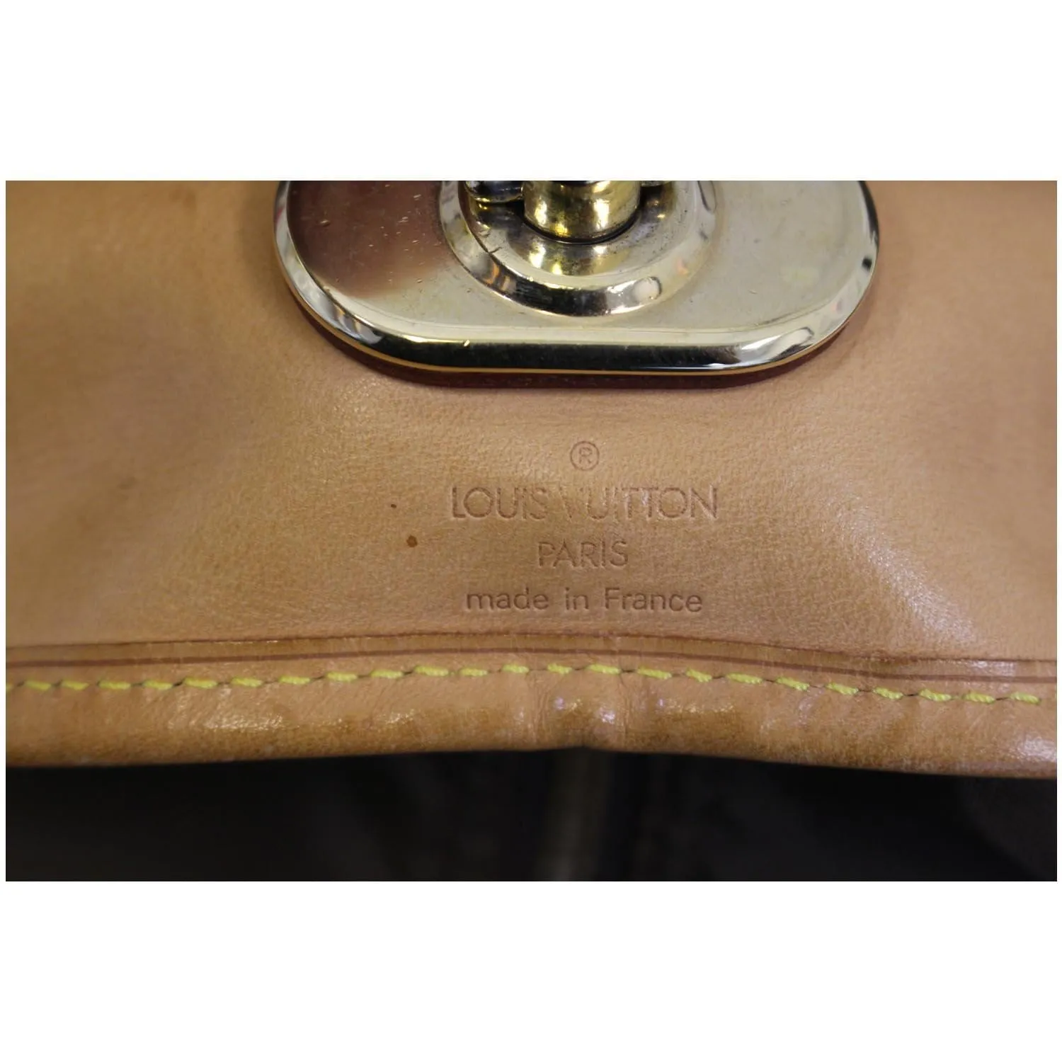 LOUIS VUITTON Monogram Canvas Brown Garment Cover