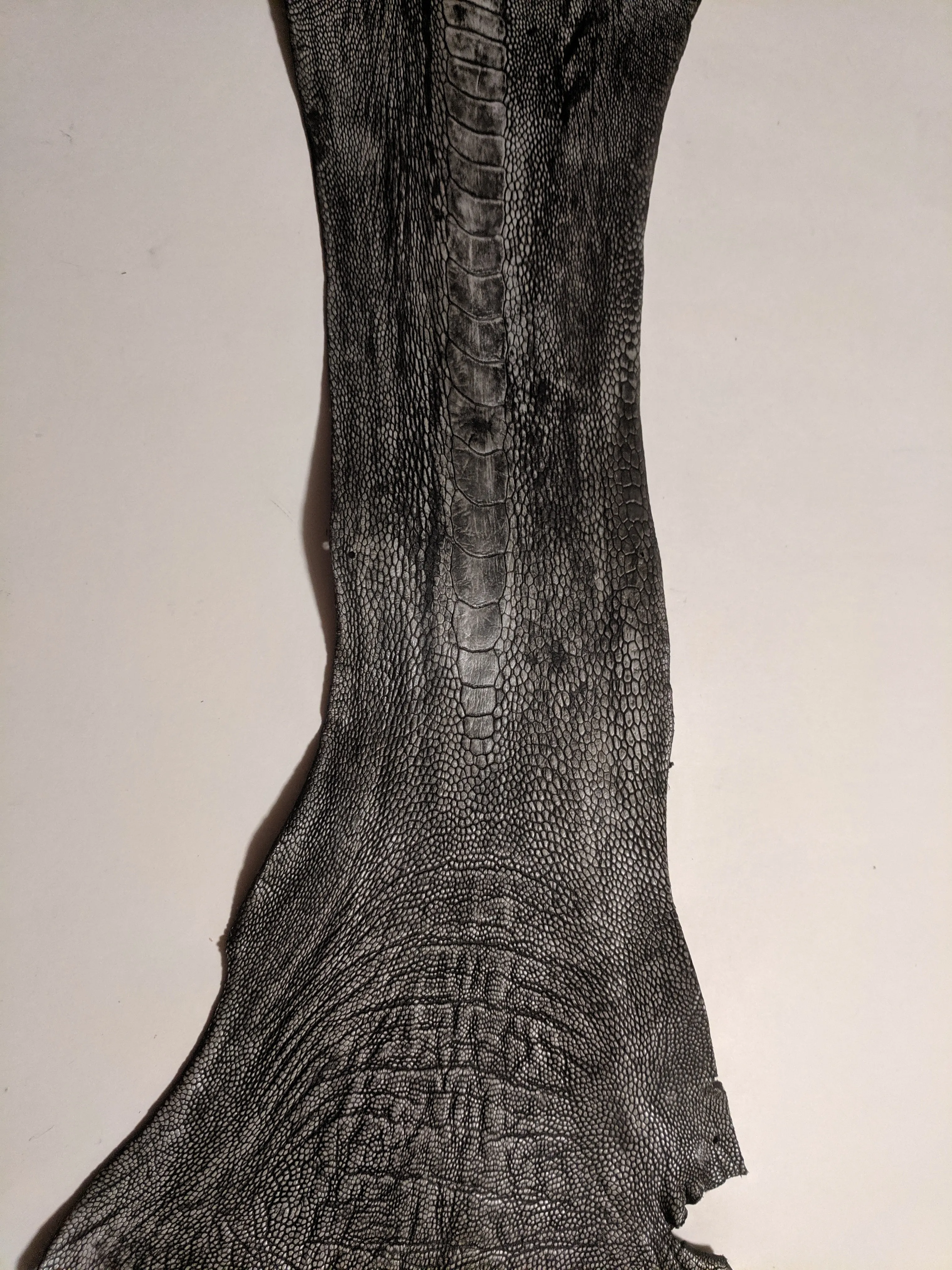 Ostrich Leg