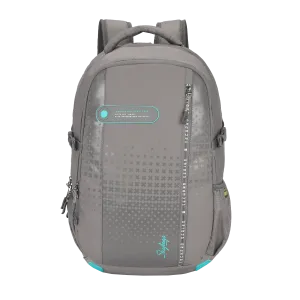 Skybags Valor Pro  04 Laptop Backpack Grey
