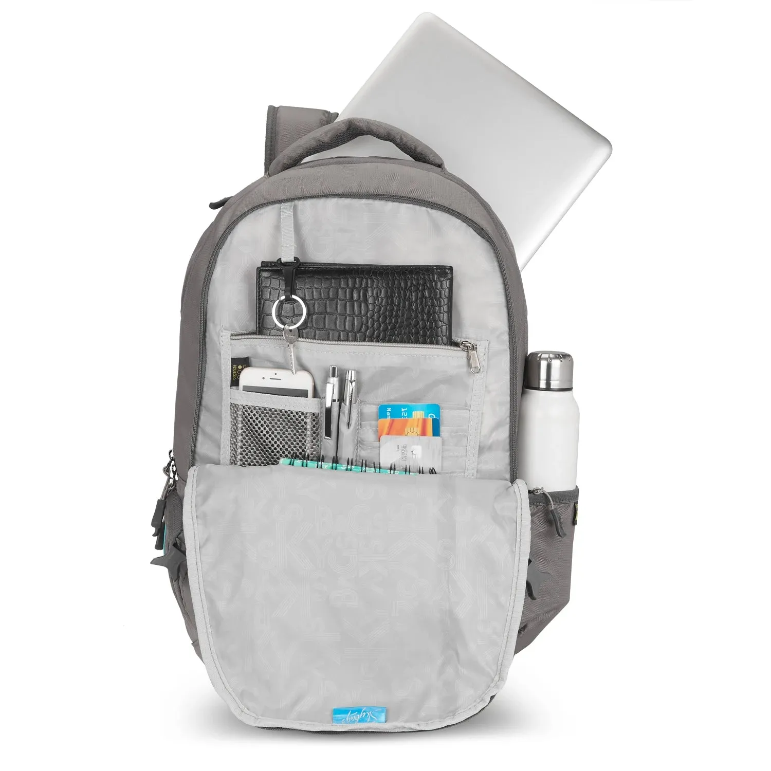 Skybags Valor Pro  04 Laptop Backpack Grey